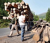 Logging truck tips over near Lost Johnny Point