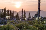 A hike in the spirit of Bob Marshall