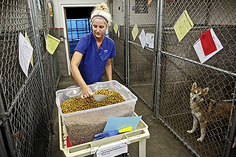 &lt;p&gt;Emma Douglas, a Kootenai Humane Society staff member, serves the evening meal to dogs in the shelter's kennels Friday. Kootenai Humane Society's Community Lifeline for Animal Welfare Services program provides pet food to low-income pet owners. The program is struggling to keep the program running due to a lack of food and increased demand.&lt;/p&gt;