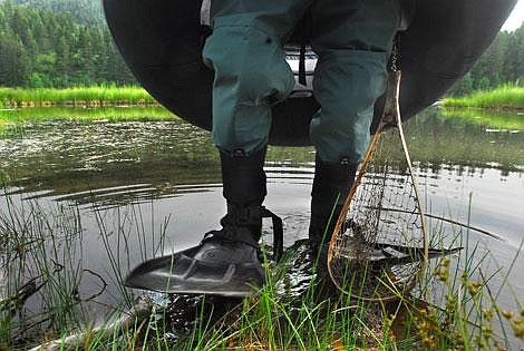 With waders, fins and fishing net, Jim Rainey of Pennsylvania splashes backward into a private pond during a lesson on fly fishing near Columbia Falls on Tuesday. The lesson, along with several others, kicked off the first day of the Fly Fishing Show and Conclave based at Whitefish High School. Rainey was taking the class from Steve Thompson, owner of Lakestream Fly Fishing Shop in Whitefish. Garrett Cheen/Daily Inter Lake