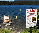 Beaver Lake quarantined for milfoil