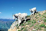 Mount Aeneas: The best short hike