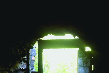 Lead