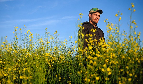 &lt;p&gt;Miles Passmore, a 24-year-old farmer stands in a field of canola on Thursday morning, July 19, near Bigfork.&lt;/p&gt;