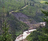 Conservation groups discover big landslide