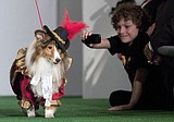 Celebs to the rescue when donations falter