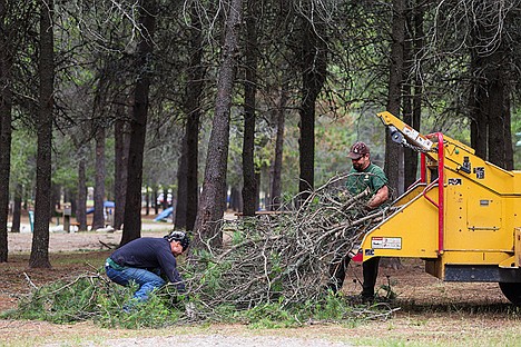 &lt;p&gt;Climber John Robinson, right, and Warren Amelsberg, ground man with Jacobson Tree Service, load tree branches into a chipper while aiding in the cleanup at Silverwood RV Park on Thursday.&lt;/p&gt;