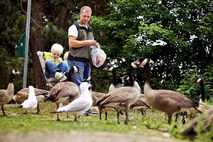 &lt;p&gt;JEROME A. POLLOS/Press Caden Oxenrider, 3, lifts his feet to avoid the geese and seagulls and his father Kenny Oxenrider tosses bread to them Friday at the beach near North Idaho College.&lt;/p&gt;