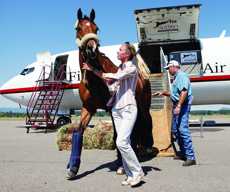 &lt;p&gt;A horse is led away from the Boeing 727, &#147;Air Horse One,&#148; that
transported 19 horses to Glacier Park International Airport Tuesday
morning. The horses are in town for The Event at Rebecca Farm, the
largest equestrian triathlon in the United States and a selection
trial for the 2012 London Olympics.&lt;/p&gt;