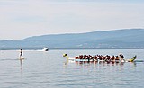 Dragon boat festival expected to bring revenue to valley