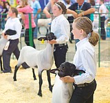 Let's Ride: Northwest Montana Fair & Rodeo schedule