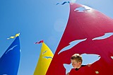 Public art project sails into Coeur d'Alene