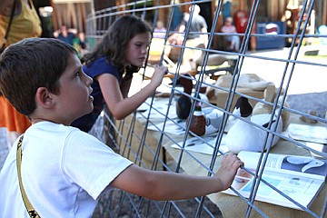 &lt;p&gt;Tasker and Kiana Brown of Charlo watch a wood mallard demonstration.&#160;&lt;/p&gt;