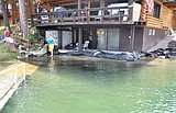 Echo Lake homeowner loses shoreline, protects home