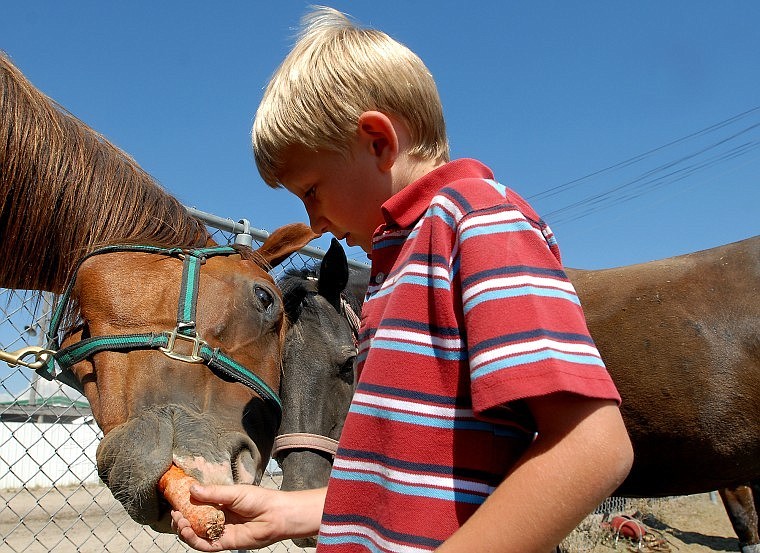 Cameron Kohr feeds a carrot to Shiloh while Missy looks on.