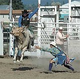Thousands attend first annual PRCA rodeo in Polson