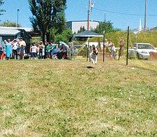 Brandy, owned by Jesse Melton, of Ronan, bounds along looking for the ball Melton threw for her to chase during the dog race.