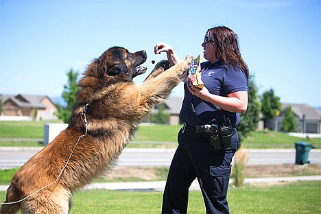 &lt;p&gt;Post Falls Animal Safety Officer Kristi Alexander gives a treat to leonberger therapy dog, Caliber, Wednesday afternoon in Post Falls during a neighborhood visit. The Post Falls Animal Safety Division received a generous donation from a Post Falls man that previously passed away.&lt;/p&gt;