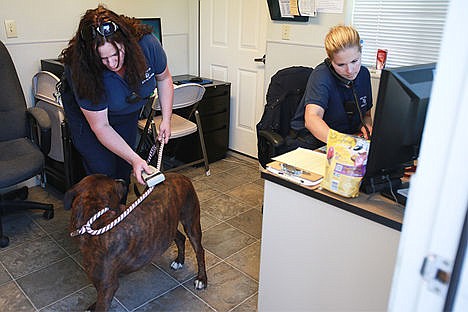 &lt;p&gt;Kristi Alexander, left, and Sheri Benner with Post Falls Animal Safety scan and receive information from a Post Falls dog that was loose earlier in the day Wednesday.&lt;/p&gt;