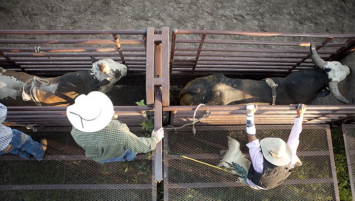 &lt;p&gt;Jarret Jacobi, right, stretches before his bull ride during the first round of the 2011 Columbia Falls Heritage Days NRA Rodeo at the Blue Moon Arena. This photograph by Inter Lake photographer Patrick Cote, and images by other professional photographers, will be auctioned May 3 to raise money for Youth Image Project.&lt;/p&gt;