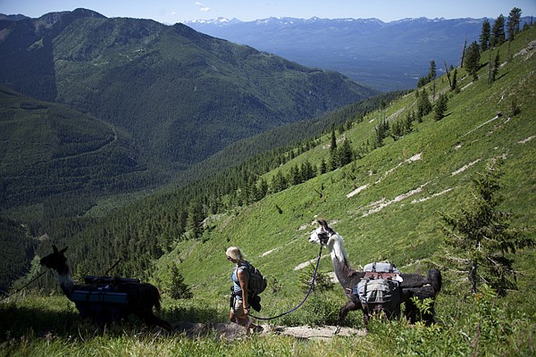 &lt;p&gt;Ashley Arment leads a llama along a day hike with the Mission Mountain Range in the background on July 24 in the Swan Mountain Range.&lt;/p&gt;