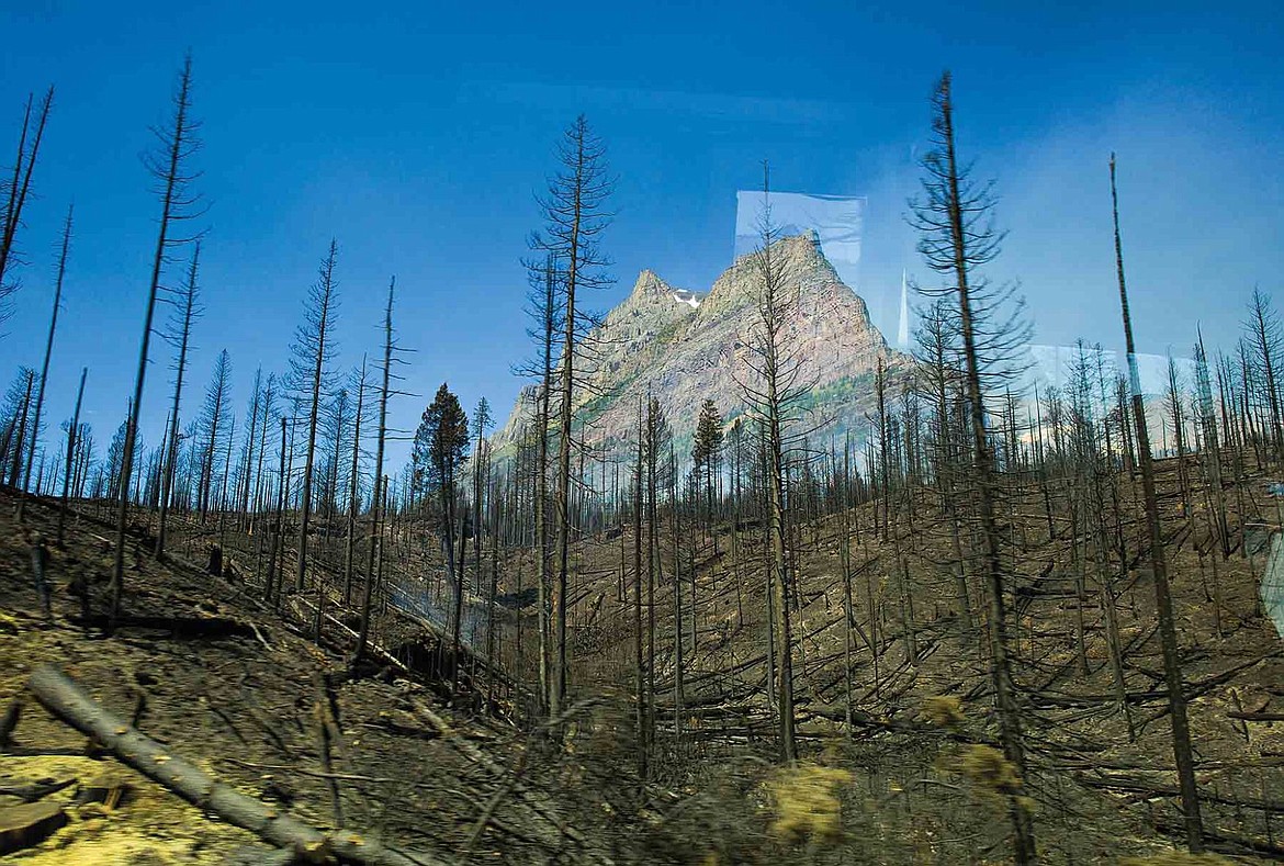 &lt;p&gt;&lt;strong&gt;Goat Mountain&lt;/strong&gt; as seen through the torched trees of the Reynolds Creek Fire in Glacier National Park on Thursday, July 30. The photo was taken through the window of a media tour bus. The Sun Road re-opened to traffic on the east side of Logan Pass on Friday, August 8. (Chris Peterson/Hungry Horse News)&lt;/p&gt;
