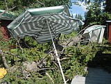 Tumbling tree narrowly misses Wagner home, garage