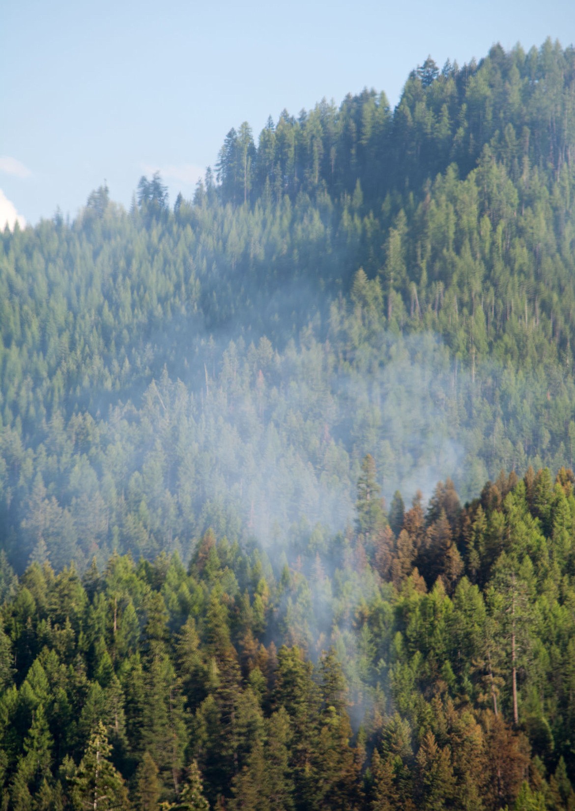 &lt;p&gt;Smoke rises from the burning area six miles north of St. Regis near Tamarack Creek on Friday night.&lt;/p&gt;