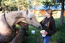 11-year-old Madisen Wheeler feeds her 22-year old pony, Spirit, a special mix of grains and minerals to heep his energy high and his joints strong. &quot;He's old, so he needs a lot of nutirents,&quot; she said.