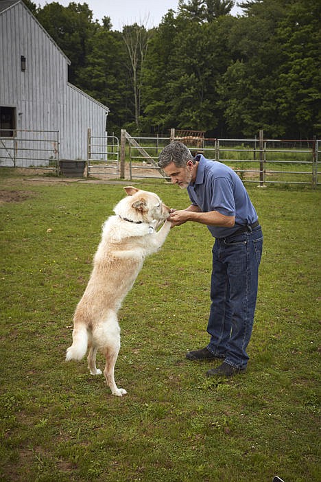 &lt;p&gt;Animal trainer Bill Berloni stands with Mikey at the Berloni home in Higganum, Conn. Mikey has spent his years touring the country playing in &quot;Annie.&quot; When he isn't acting, Mikey lives with Berloni and his family.&lt;/p&gt;