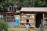 Authorities raid kennel near Hauser Lake