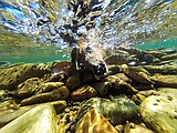 Life under water