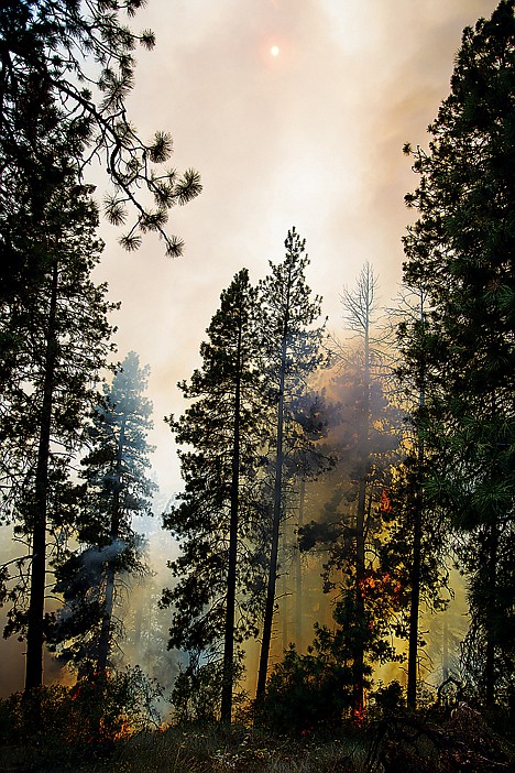 &lt;p&gt;Smoke fills the air, creating a dramatic scene of the forest fire near Lake Coeur d'Alene.&lt;/p&gt;