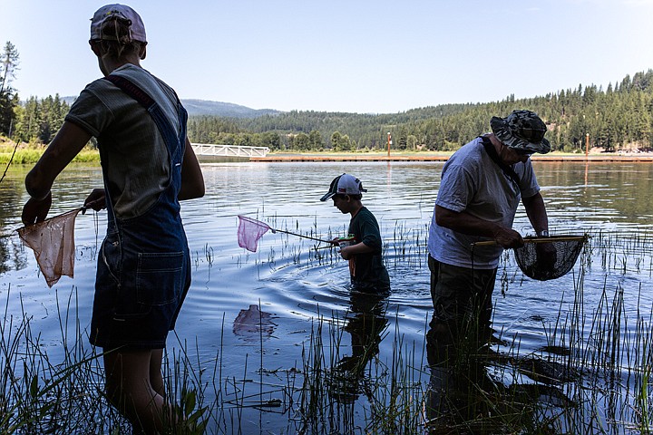 &lt;p&gt;JAKE PARRISH/Press&lt;/p&gt;&lt;p&gt;From left to right, Sadie Bouwens, 12, Bodey Paulson, 10, and retired fishery scientist Vaughn Paragamian wade along the shores of Mica Bay in hopes of catching freshwater animal and bug life at the Watchable Wildlife Nature Camp on Wednesday.&lt;/p&gt;