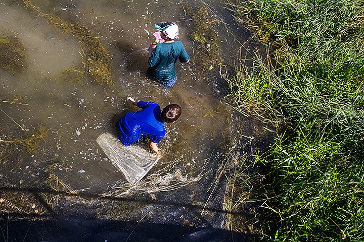 &lt;p&gt;TESS FREEMAN/Press&lt;/p&gt;&lt;p&gt;Bodey Paulson, top, 10, and Ryley Smith, 10, try to catch fish, tadpoles, and insects during the Watchable Wildlife Nature Camp on Wednesday morning at the wetlands by the Mica Bay Boater Park. The five day natural resource camp examined a different ecosystem every day.&lt;/p&gt;