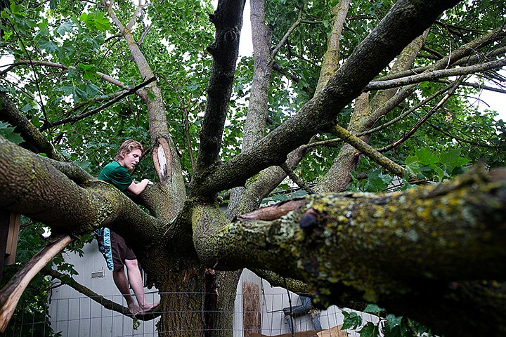 &lt;p&gt;TESS FREEMAN/Press&lt;/p&gt;&lt;p&gt;Kyler Scott examines the lightning strike in the tree that fell in Lorraine Lader and Steve Cornwall&#146;s backyard. Trees were blown over causing sporadic power outages due to thunder storms and high winds that moved into Coeur d&#146;Alene Wednesday evening.&lt;/p&gt;