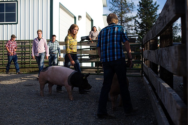 &lt;p&gt;TESS FREEMAN/Press&lt;/p&gt;&lt;p&gt;Josie Booth, center, and Zach Petersen&#160;herd pigs back into the trailer at the end of the 4H Fundraiser at Rocking R Ranch on Thursday evening.&lt;/p&gt;