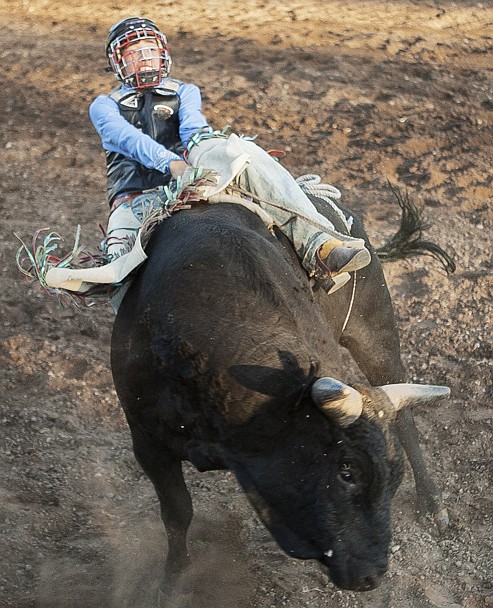 &lt;p&gt;Teague Jones rides in the Miniature Bull Riding competition at
the NRA Rodeo held at the Blue Moon Arena Friday night.&lt;/p&gt;