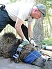 Bear manager honored