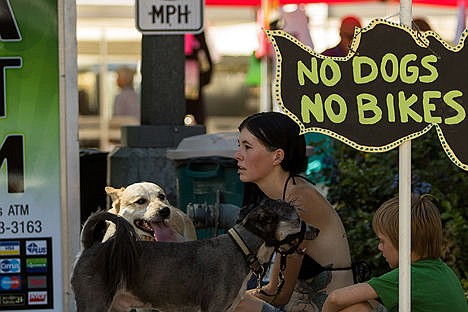 &lt;p&gt;Jennifer Vanvalkinburgh sits with her two dogs Duke, center and Chubs during Art on the Green on Friday afternoon.&lt;/p&gt;