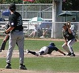 River Dogs bound for World Series