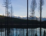 Thinning project on reservoir gets the OK