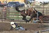 Rodeo action in Columbia Falls