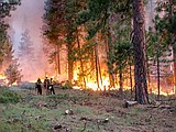 Burn ban in effect at state parks