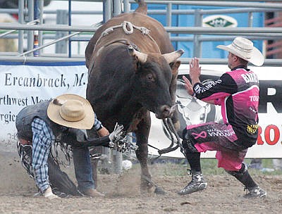 &lt;p&gt;Bull fighter Kaleb Barrett, right, distracts &quot;All Red&quot; as Clay Applegate of Deer Lodge makes his escape during Saturday's edition of the 14th annual Kootenai River Rodeo. (Paul Sievers/The Western News)&lt;/p&gt;