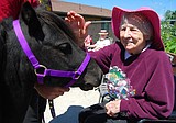 Mini horses make stop at Lakeview Care Center