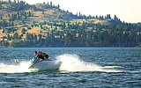 Lake algae growth was high in 2003