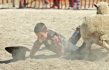 Garrett O'Conner reaches for his hat after falling off his sheep during Pioneer Days last weekend in Ronan.