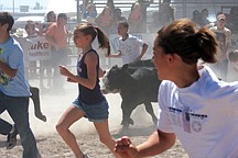 Kids run after the cows during the cash cow dash.