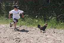 Five-year-old Zoran Lafrombois, of St. Ignatius, runs after a chicken during the chicken scramble.